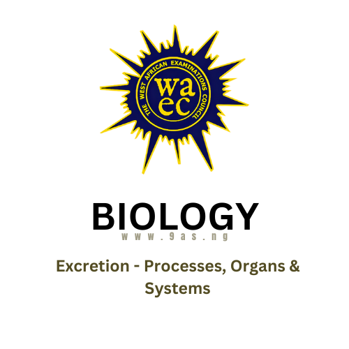 WAEC Biology Questions On Excretion –  Processes, Organs & Systems